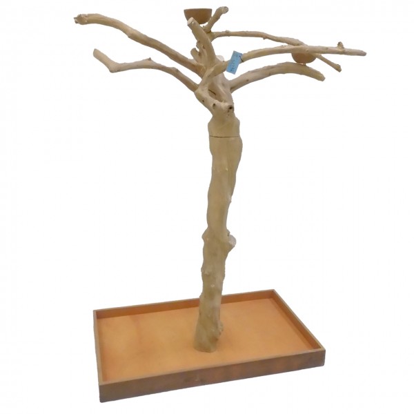 Java Tree Freisitz aus Kaffeeholz - MEDIUM - BM52742