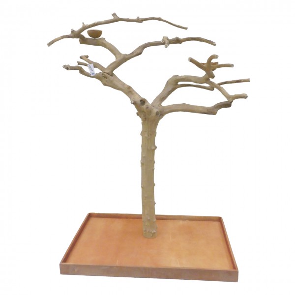 Java Tree Freisitz aus Kaffeeholz - MEDIUM - AM20069