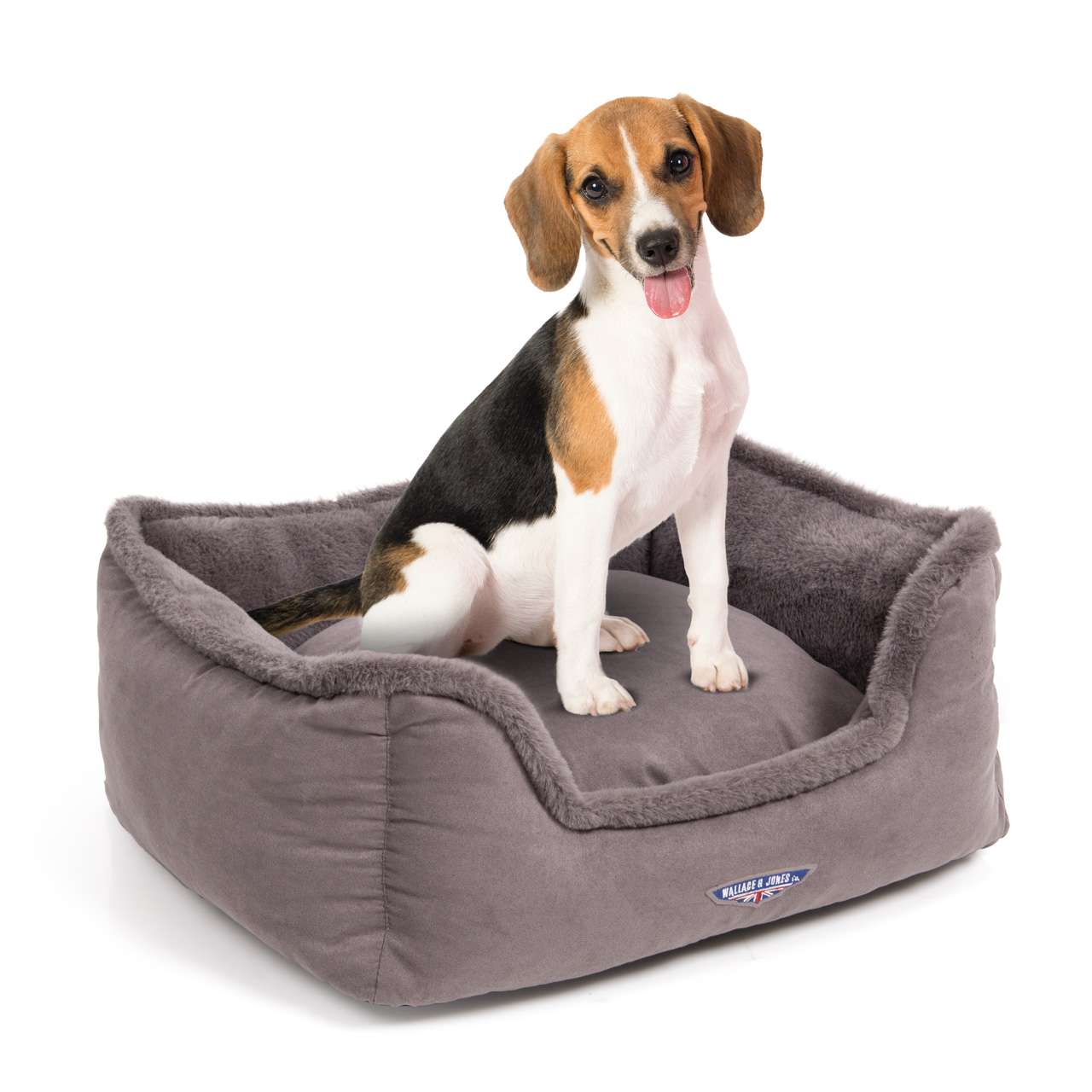 Harmony pet sale bed