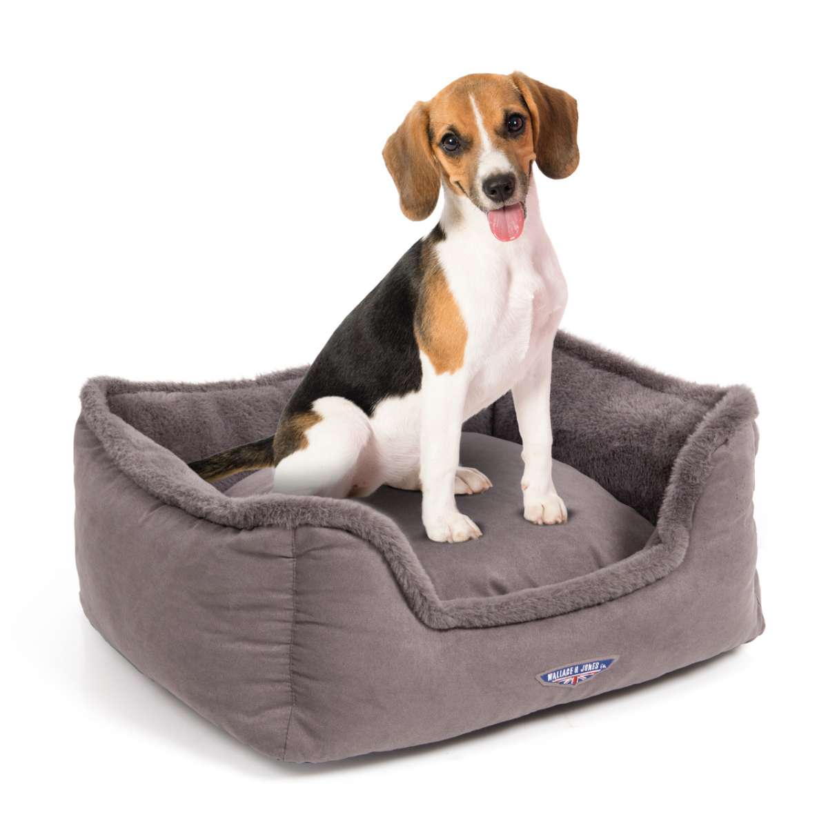 Harmony dog clearance bed