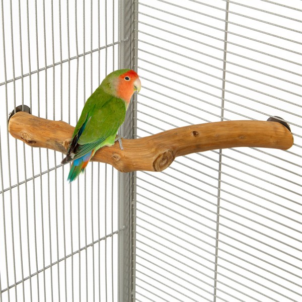 Ecksitzstange "Rainforest Corner Perch" - Large