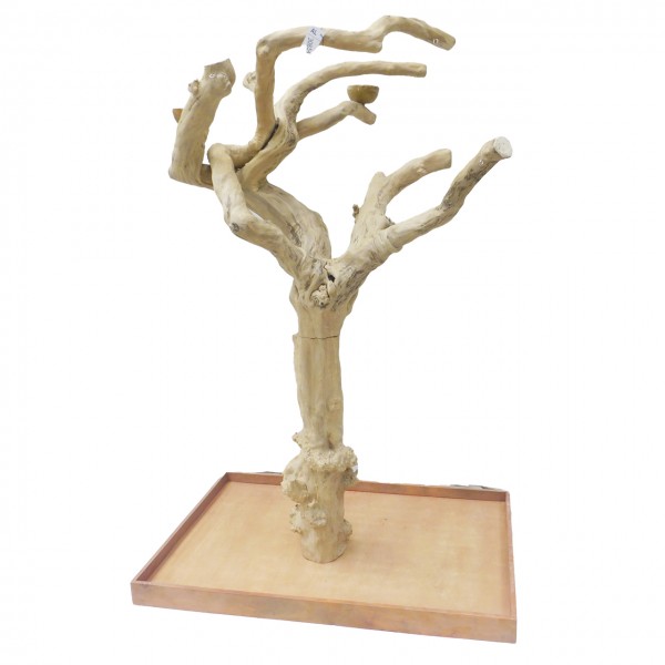 Java Tree Freisitz aus Kaffeeholz - LARGE - AL30854