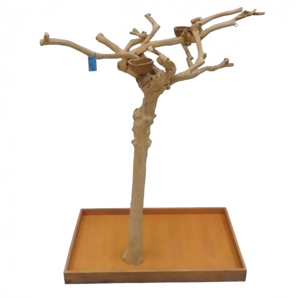 Java Tree Freisitz aus Kaffeeholz - MEDIUM - BM52736