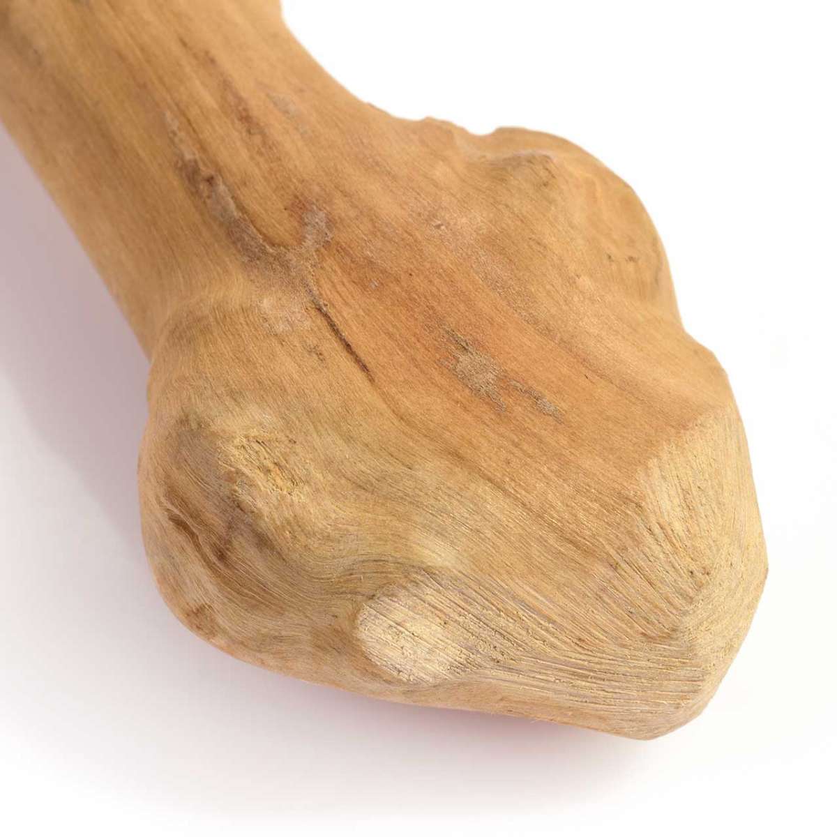 Gorilla Coffee wood stick chew wood for dog size S | Parrotshop