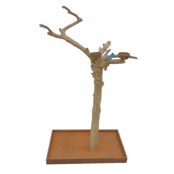 Java Tree Freisitz aus Kaffeeholz - MEDIUM - BM52744