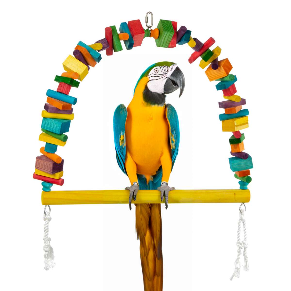 Parrot swing Wooden Blocks Ark Swing King Size 60 x 55 xm XXL swing for parrots Parrotshop