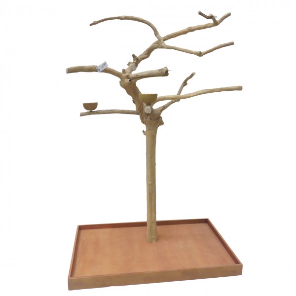 Java Tree Freisitz aus Kaffeeholz - MEDIUM - AM20083