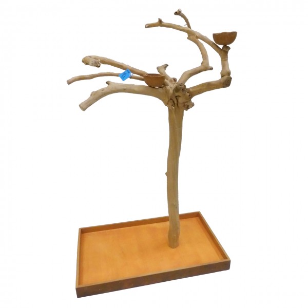 Java Tree Freisitz aus Kaffeeholz - MEDIUM - BM52731