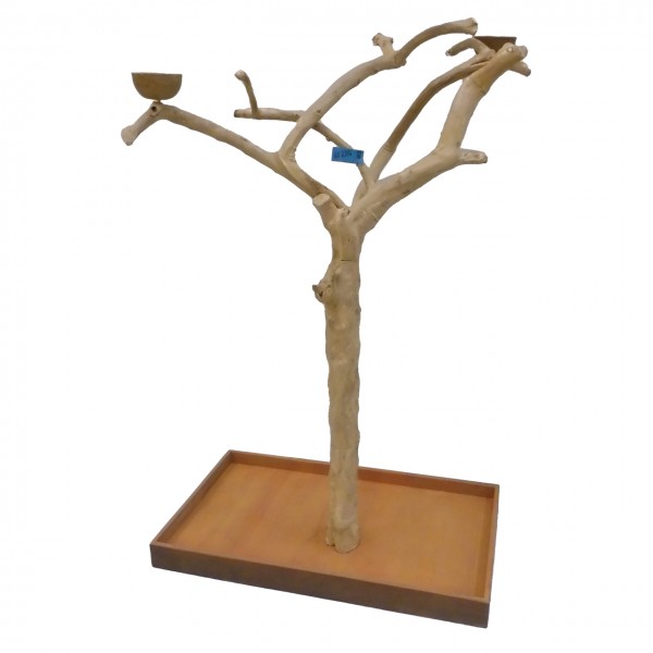 Java Tree Freisitz aus Kaffeeholz - MEDIUM - BM52739